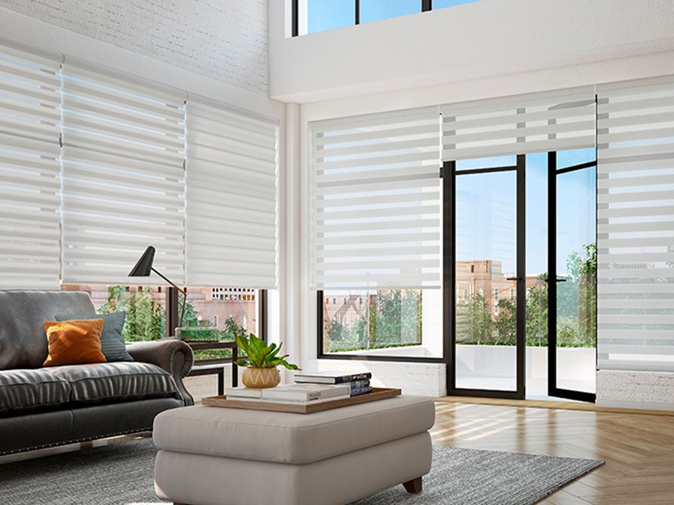 Living Room with Zebra Shades